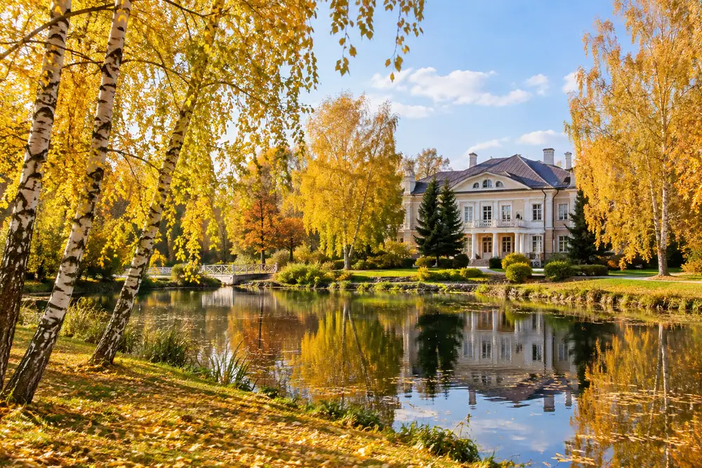 Отдых в Подмосковье
